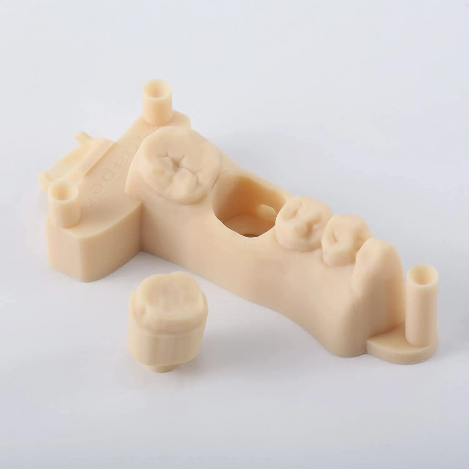 Resione Elastic Dental Model Resin Liquid Dental Casting 3D Printer Resin For Elegoo Anycubic Resin 405nm UV Resin 3D Printing