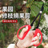 Grape Pruning Scissors Stainless Steel Long Pointed Garden Scissors Gardening Tools and Equipment Bonsai Tools Farm Tool
