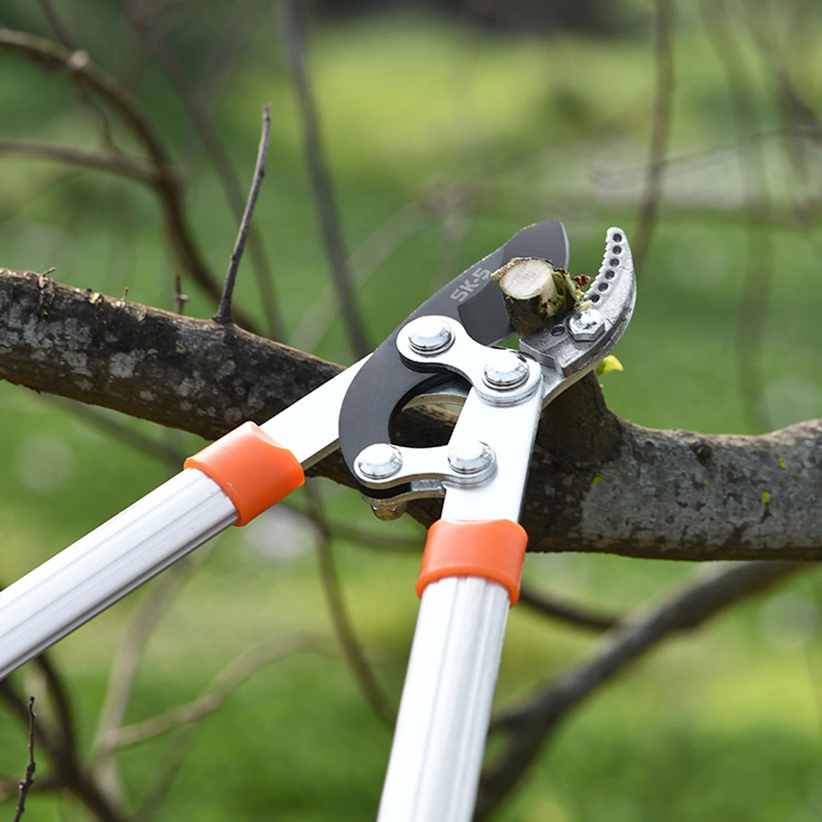 Long Length Scissor Hedge Anvil Shear Anti-Slip Grip Garden Pruning Hand Tool Ratchet Cut Tree Branch Garden Tools
