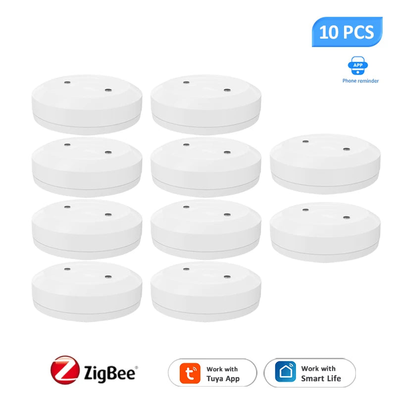 41986700541997|41986700607533|41986700673069|41986700738605|41986700836909|41986700902445|41986700967981