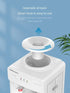 Vertical hot and cold water dispenser household small multi-functional top bucket fully automatic water supply office new model