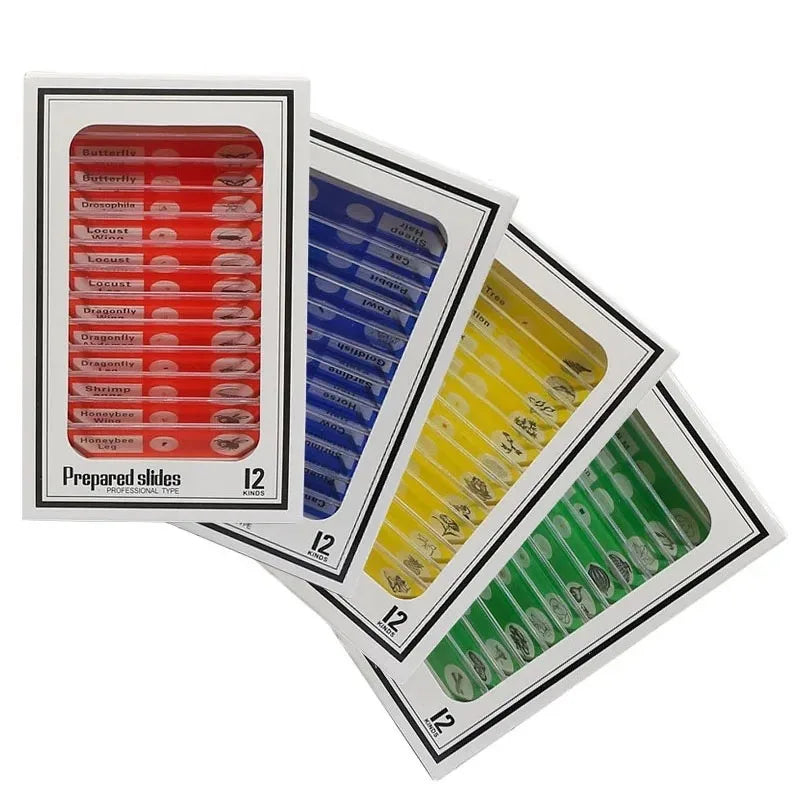 12 Plastic Microscope Slides 4 Boxes Biological Experimental Specimens for Children and Students' Enlightenment Education