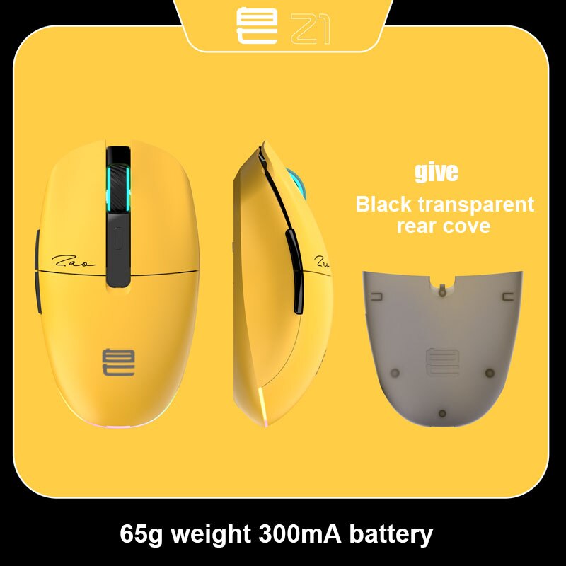 Wireless Mouse RGB Light, PAW3395, TTC Golden Wheel Encoder, Kaihua GM8.0 Black Mamba Micro Motion, 65g Ultra Light
