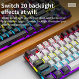 SKYLION K87 Wired Mechanical Keyboard 20 Kinds of Colorful Lighting Gaming and Office For Microsoft Windows and Apple IOS System