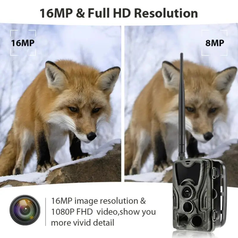 HC801M Trail Camera Outdoor Wildlife Hunting IR Filter Night View Motion Detection Camera Scouting Cameras Photo TrapsTrack