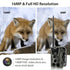 HC801M Trail Camera Outdoor Wildlife Hunting IR Filter Night View Motion Detection Camera Scouting Cameras Photo TrapsTrack