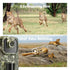 2k Wildlife Trail Camera 16MP Animal Observation Waterproof Wildlife Hunting Surveillance Outdoor Hunting Scouting Camera